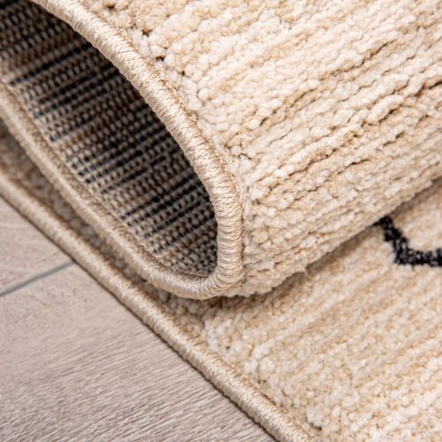Pasha Home Modern Dekorativ Teppich ( Emilia)